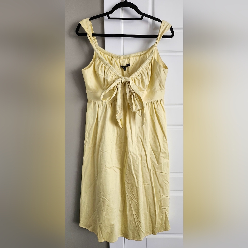 Tara Jarmon Parisian Sundress